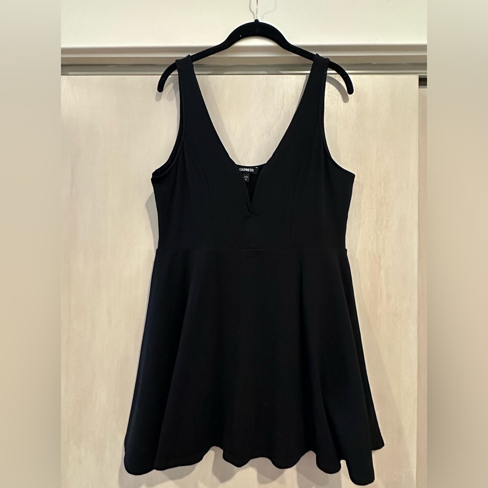 Express Lined Bodice Mini Dress
